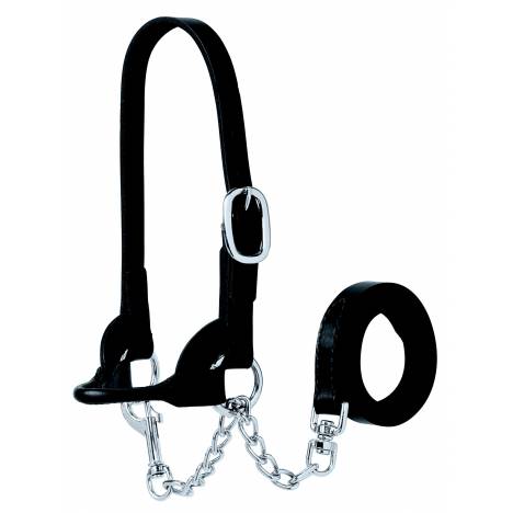 Weaver Leather Sheep/Calf Show Halter