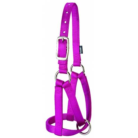 Weaver Leather Llama Halter