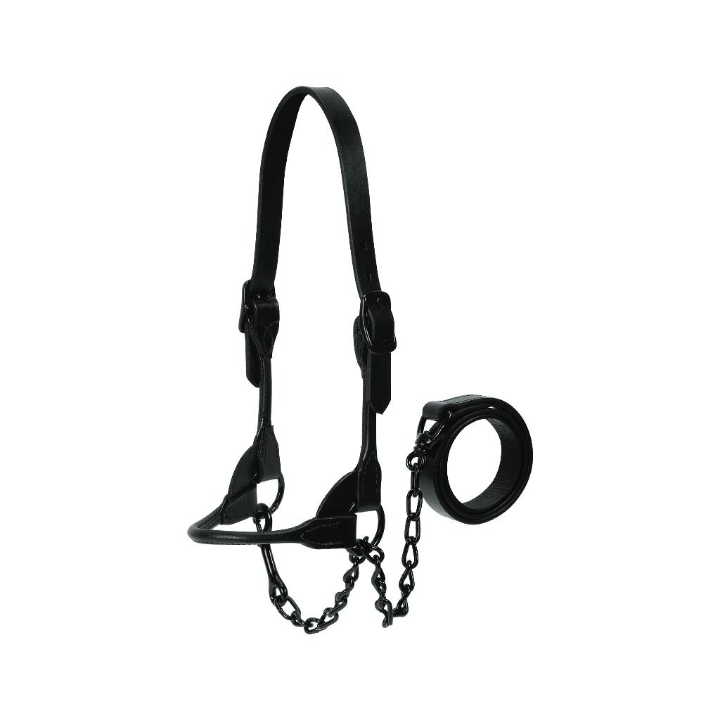 Weaver Leather Black Magic Show Halter