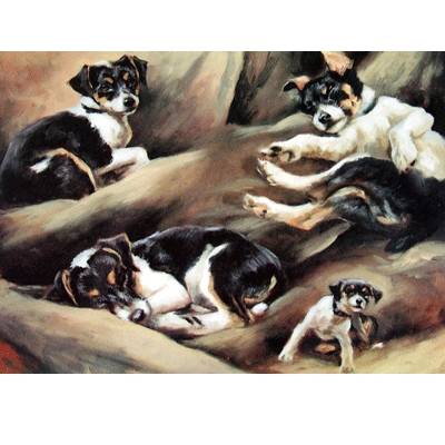 Just Getting Comfortable (Jack Russell) Blank Greeting Cards - 6 Pack