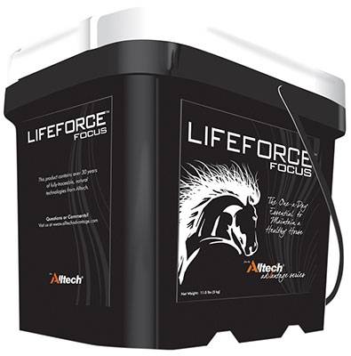 Lifeforce Focus