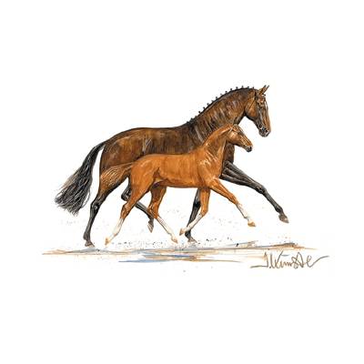 Cappuccini (Mare & Foal) By: Jan Kunster, Matted