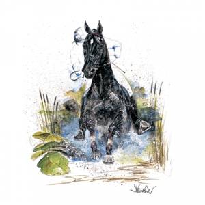 Joker, Eventing Horse Art Print by Jan Kunster