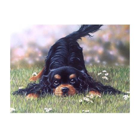 Come and Play (Gordon Setter) Blank Greeting Cards - 6 Pack