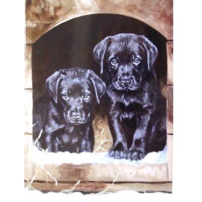 5-581784 Just Looking (Labrador Retievers) Blank Greeting C sku 5-581784