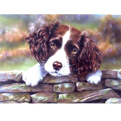 Please Dont Go (English Springer) Blank Greeting Cards - 6 Pack