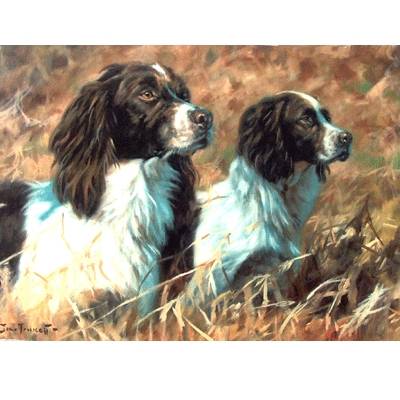 The Partnership (English Springer) Blank Greeting Cards - 6 Pack