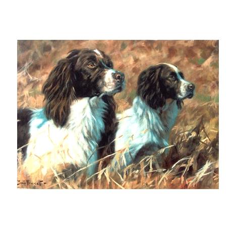The Partnership (English Springer) Blank Greeting Cards - 6 Pack