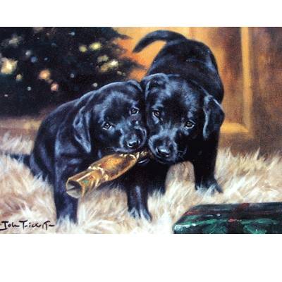 5-581810 Christmas Cracker (Labrador Retrievers) Blank Gree sku 5-581810