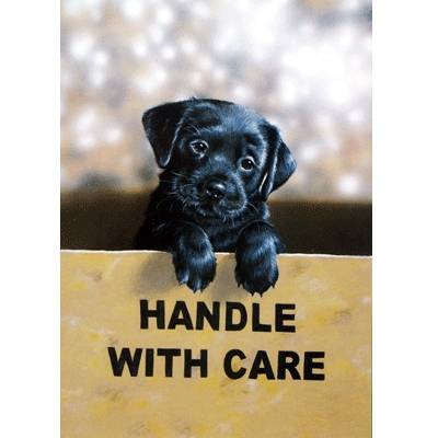 5-581822 Handle with Care (Labrador Retriever) Blank Greeti sku 5-581822