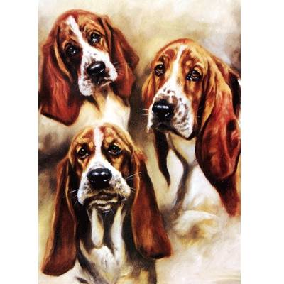 5-581834 Studies of a Basset (Basset Hound) Blank Greeting  sku 5-581834