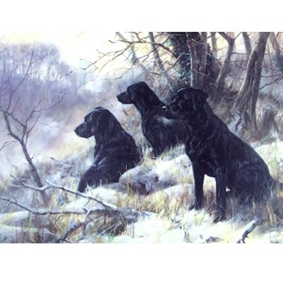 5-581847 Three Wise Men (Labrador Retrievers) Blank Greetin sku 5-581847