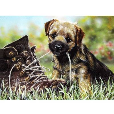 5-581848 Tongue Tied (Border Terrier) Blank Greeting Cards  sku 5-581848