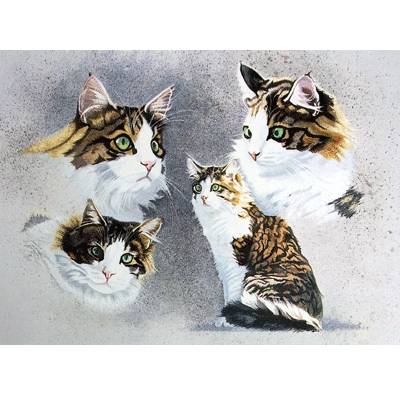 Tortoiseshell Blank Greeting Cards - 6 Pack