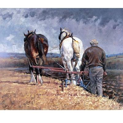 Ploughing