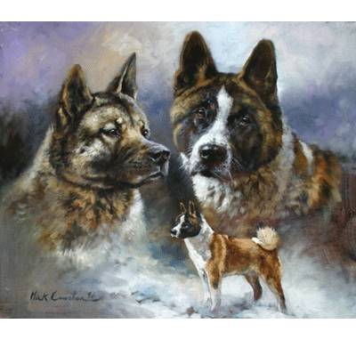 The Akita By: Mick Cawston