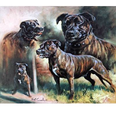 5-581946 Staffordshire Bull Terrier Composite By: Mick Caws sku 5-581946