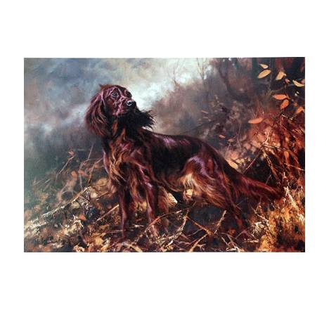 Irish Setter By: Mick Cawston