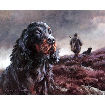 Head of Gordon Setter By: Mick Cawston