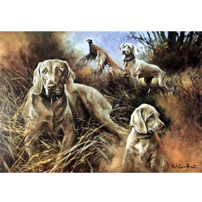 Weimaraner Compostition 2 By: Mick Cawston