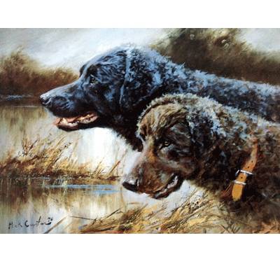 5-581962 Curly Coated Retriever By: Mick Cawston sku 5-581962