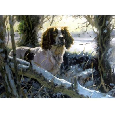 5-581995 Winters Morning (English Springer) Blank Greeting  sku 5-581995