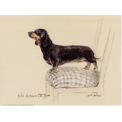 5-582044 Smooth Dachshund By: Gill Evans, Matted sku 5-582044