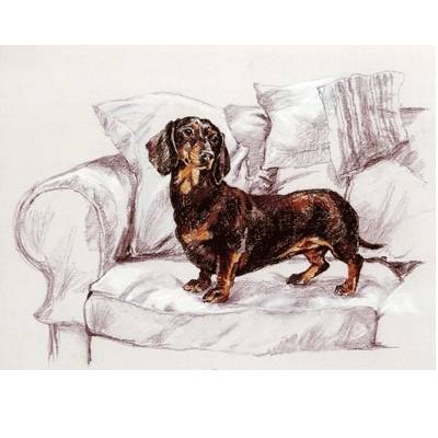 5-582045 Smooth Dachshund By: David Thompson, Matted sku 5-582045