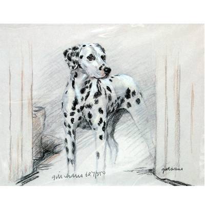 5-582053 Dalmatian By: Gill Evans, Matted sku 5-582053