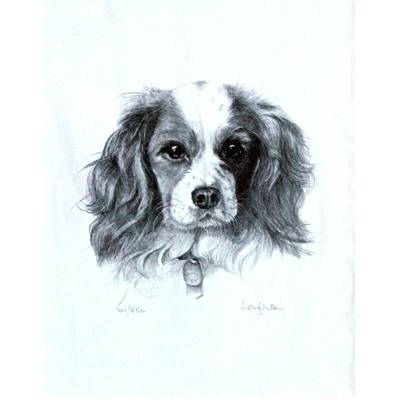 Cavalier King Charles Spaniel By: Sandra Leighton