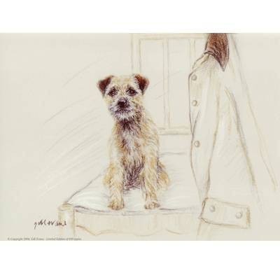 5-582057 Border Terrier By: Gill Evans, Matted sku 5-582057