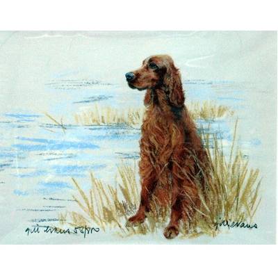 5-582064 Irish Setter By: Gill Evans, Matted sku 5-582064