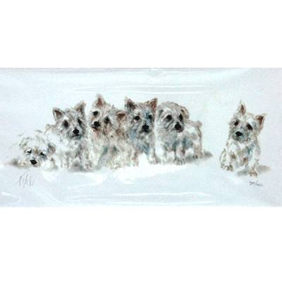 West Highland Puppies By: Nikki, Matted