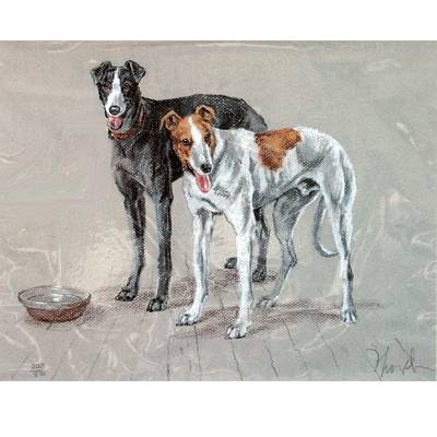 Greyhounds By: David Thompson, Matted