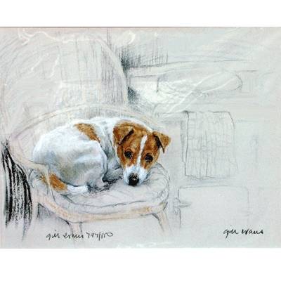 Terrier on a Chair By: Gill Evans, Matted