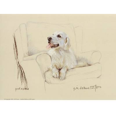 5-582076 Golden Retriever on Chair By: Gill Evans, Matted sku 5-582076