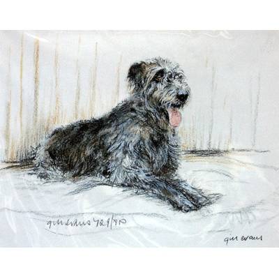 5-582078 Irish Wolfhound By: Gill Evans, Matted sku 5-582078