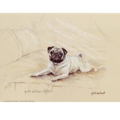 5-582081 Pug By: Gill Evans, Matted sku 5-582081