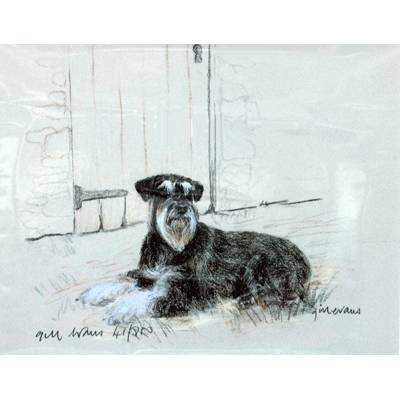 5-582084 Schnauzer By: Gill Evans, Matted sku 5-582084