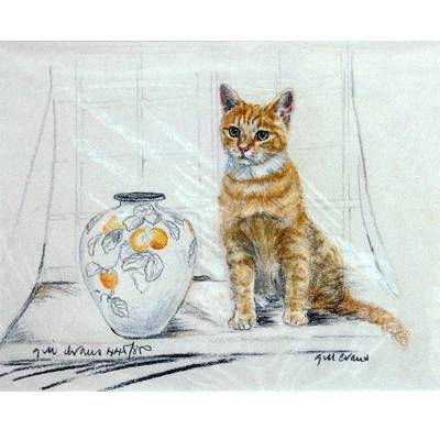 Ginger Cat By: Gill Evans, Matted