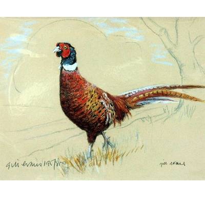 Pheasant By: Gill Evans, Matted