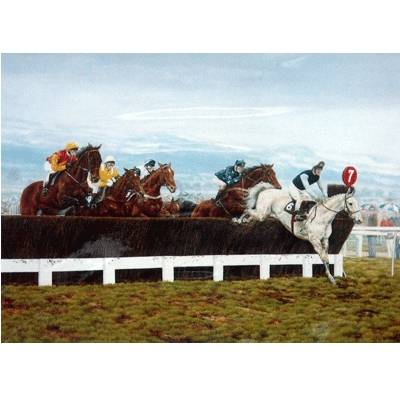 Desert Orchid By: Brian Tovey, Matted