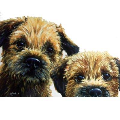 5-582106 Dogs - Borders (Border Terrier) Blank Greeting Car sku 5-582106