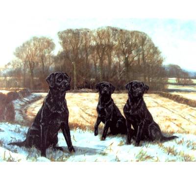 5-582114 Early Snow (Labrador Retrievers) Blank Greeting Ca sku 5-582114