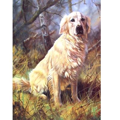 A Friend (Golden Retriever) Blank Greeting Cards - 6 Pack