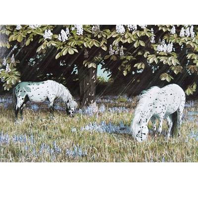 Bluebell Time (Spotted Ponies) Blank Greeting Cards - 6 Pack