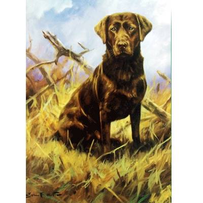 Chocolate Lab (Labrador Retriever) Blank Greeting Cards - 6 Pack