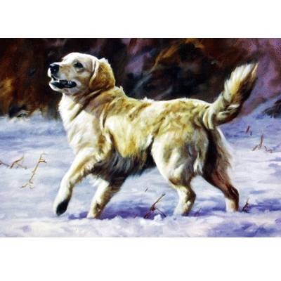 5-582132 Come On (Golden Retriever) Blank Greeting Cards -  sku 5-582132