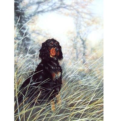 5-582135 Dignity (Gordon Setter) Blank Greeting Cards - 6 P sku 5-582135