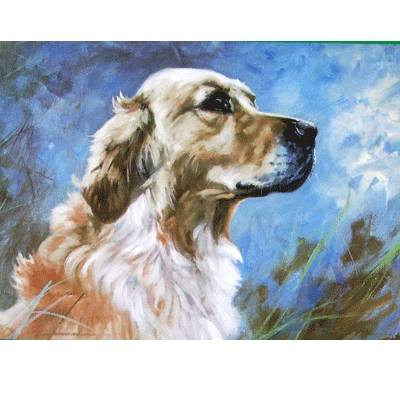 5-582140 Golden Retriever Blank Greeting Cards - 6 Pack sku 5-582140